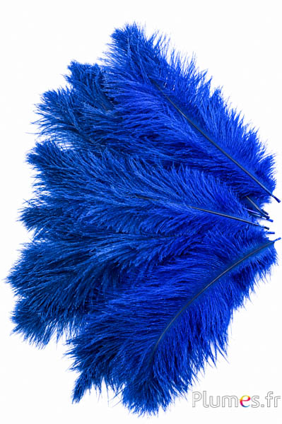 Struisvogel - 30-40 cm - grijs natuurlijk-blauw